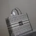 5Christian Dior Stripes book tote AAA+ bags #A42327