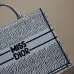 6Christian Dior Stripes book tote AAA+ bags #A42328