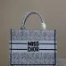 10Christian Dior Stripes book tote AAA+ bags #A42328