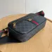 15Stylish Gucci Waist Pack Featuring GG Logo #A45658