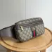 3Stylish Gucci Waist Pack Featuring GG Logo #A45658