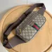 5Stylish Gucci Waist Pack Featuring GG Logo #A45658