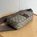 6Stylish Gucci Waist Pack Featuring GG Logo #A45658