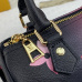 6Louis VuittonAAA+ Handbags #999924816