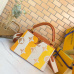 1Louis Vuittou AAA Women's Handbags #999919512