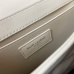 19YSL new style bag #A33056