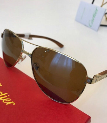 Cartier AAA+ Sunglasses #9875143