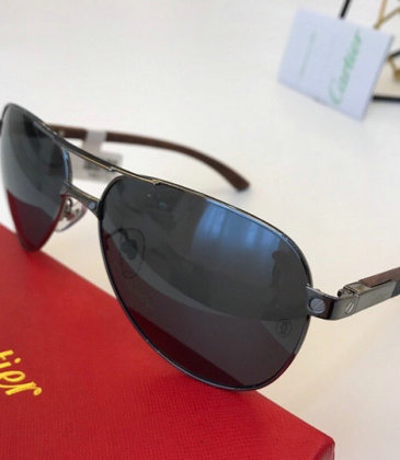 Cartier AAA+ Sunglasses #9875144