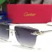 1Cartier AAA+ Sunglasses #9875155