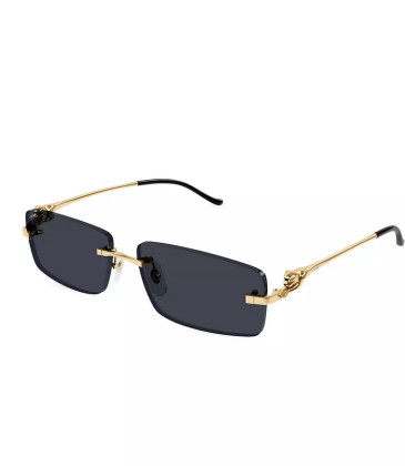 Cartier AAA+ Sunglasses #A31538
