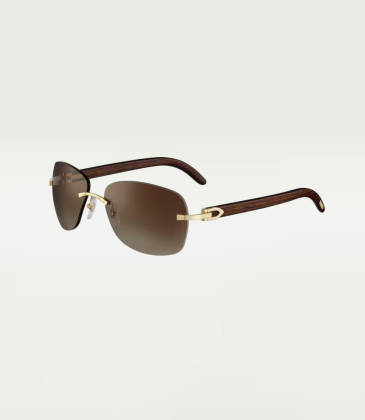 Cartier AAA+ Sunglasses #A31540