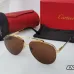 1Cartier Sunglasses #A24616