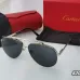 1Cartier Sunglasses #A24619