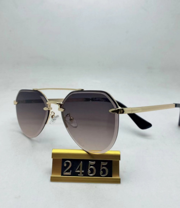 Cartier Sunglasses #999937384