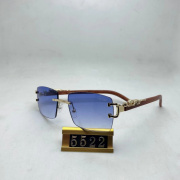 Cartier Sunglasses #999937389