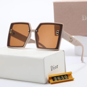 Dior Sunglasses #999937458