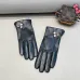 3Louis Vuitton Glove #A42891