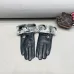 3Louis Vuitton Glove #A42893