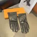 3Louis Vuitton Glove #A42899