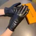 1Louis Vuitton Glove #A42902