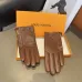 3Louis Vuitton Glove #A42903