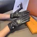 1Louis Vuitton Glove #A42905