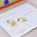 3Louis Vuitton earrings Jewelry #9999921517