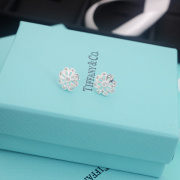 Tiffany Rings &amp; earrings #99899172
