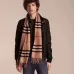 1Burberry Scarfs #9130383