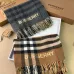 1Burberry Scarfs #A42657