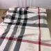 6Burberry Scarfs #A42659