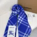 4Burberry Scarfs #A42688