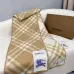 3Burberry Scarfs #A42690