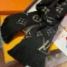 1Louis Vuitton Scarf #99874644