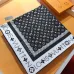 6Louis Vuitton Scarf #A41887