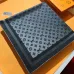 7Louis Vuitton Scarf #A42794