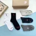 6Burberry socks (5 pairs) #A41931