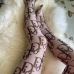 1Fashion Custom Printed Women Letters Letter Printed Sexy Women Tights Free size Stocking Pantyhose #999929985