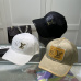 1Louis Vuitton AAA+ hats &amp; caps #A28434