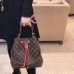 5Louis Vuitton AAA Women's Handbags #9115335