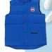 10Canada Goose vest Down Jackets #A39955