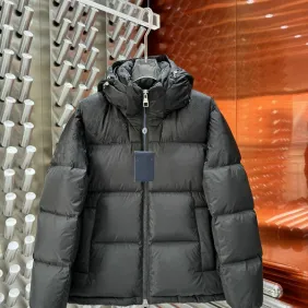 Louis Vuitton Coats/Down Jackets #A44192