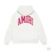 10AMIRI Hoodies for Men #A45100