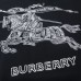 3Burberry Hoodies for Men #A25665