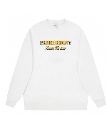 Burberry Hoodies for Men #A30142