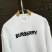 3Burberry Hoodies for Men #A44528