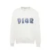 1Dior hoodies for Men #A41053