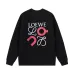 10Loewe Hoodies #A42551