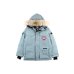 1Canada goose jacket for Women 19fw expedition wolf hairs 80% white duck down 1:1 quality Canada goose down coat #99899244