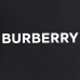 6Burberry Pants for Burberry Short Pants for men #9999921424
